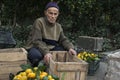 Elderly Farmer Brought Oranges For Sale